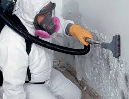  Spring Mount, PA Mold Prevention & Removal Pros